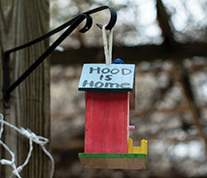 Birdfeeder on campus. Links to Gifts of Cash, Checks, and Credit Cards